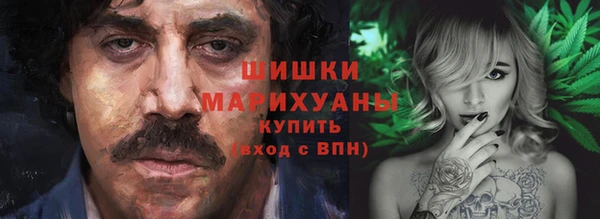 шишки Белоозёрский