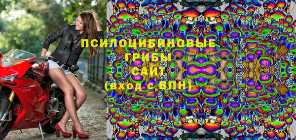 шишки Белоозёрский