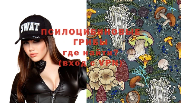 шишки Белоозёрский