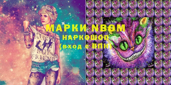 шишки Белоозёрский