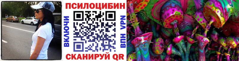 закладки  Кондрово  Галлюциногенные грибы GOLDEN TEACHER 
